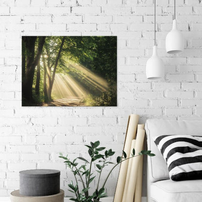 Vægmaleri på lærred WALLARENA 120x80 cm til soveværelse, stue og køkken - Skov og natur, 1 stk.