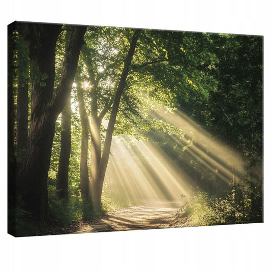 Canvasbillede WALLARENA 60 x 40 cm til soveværelse, stue og køkken – Skov og natur, 1 stk.