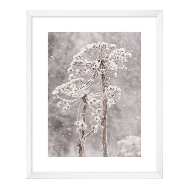 Billede Sneklædte blomster 40 x 50 cm