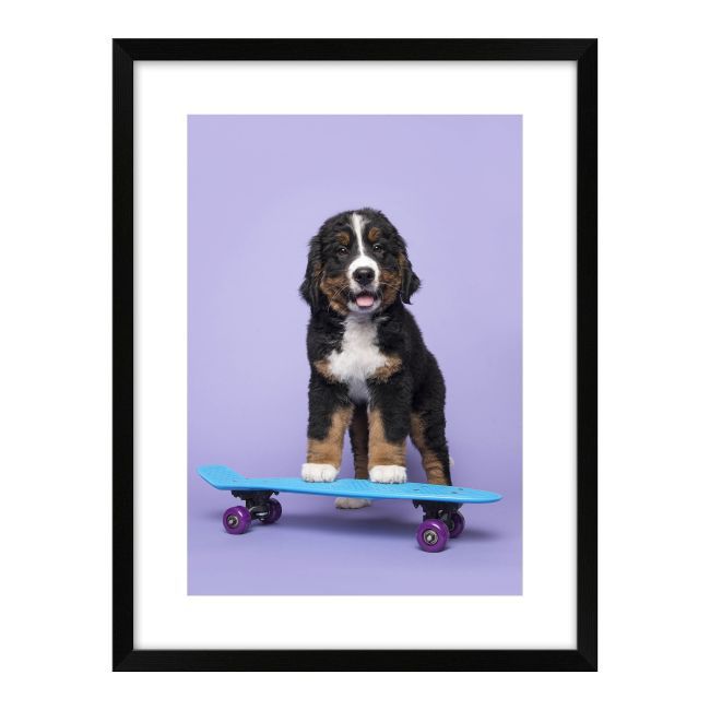 Billede Hund på skateboard 30 x 40 cm