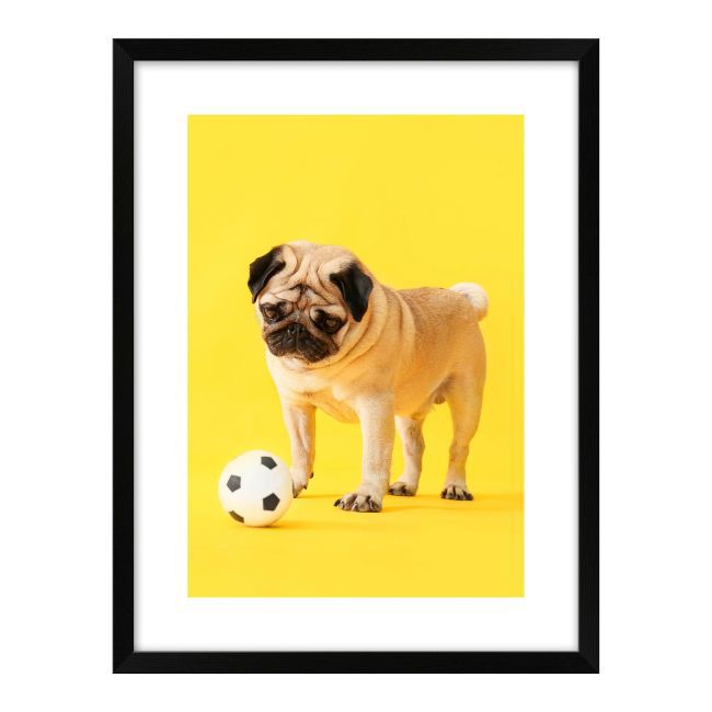 Billede Hund med bold 30 x 40 cm