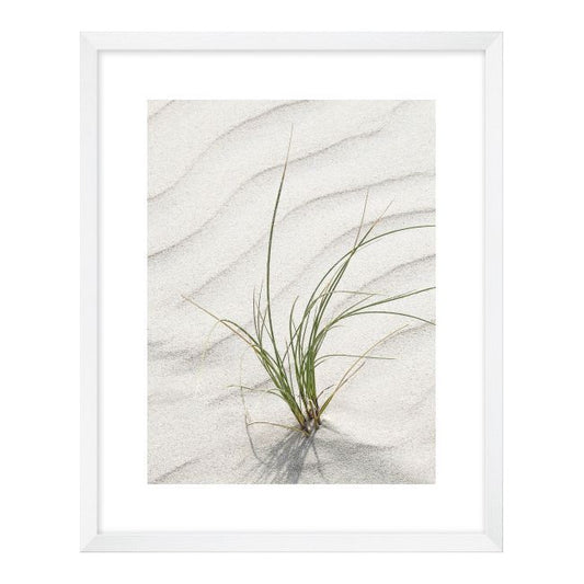 Billede Græs på sand 40 x 50 cm