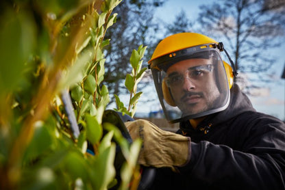 Ansigts- og høreværn Site net