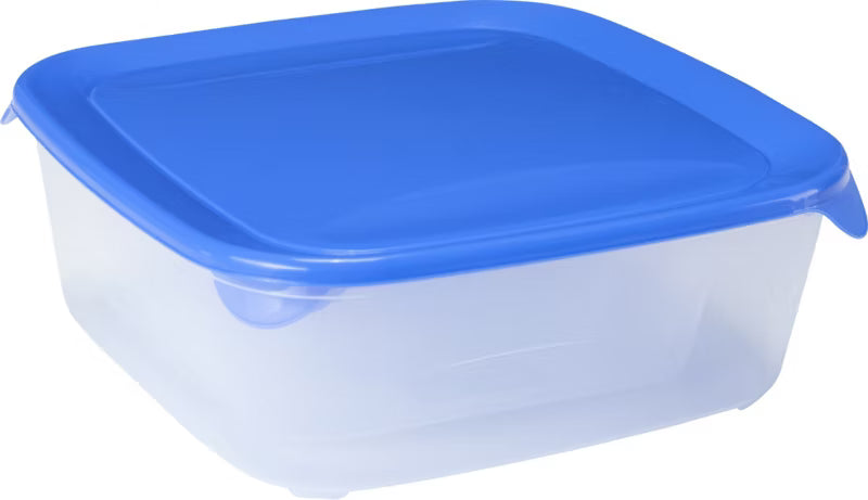 Opbevaringsbokse Fresh&Go 23x23x8,3 cm Transparent 4 Stk.