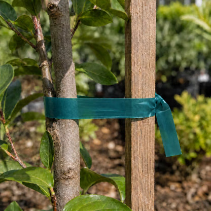 Opbindingstape 12 mm x 40 m og 24 mm x 60 m Grøn 2 Stk.