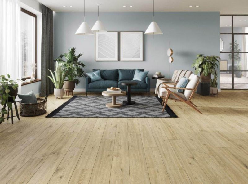 Laminatgulv Dąb Asteria AC5 2,22 m² Beige