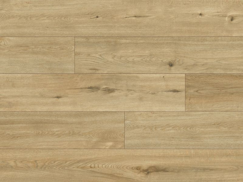 Laminatgulv Dąb Solera AC5 2,22 m² Beige