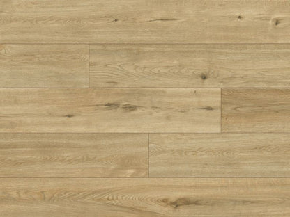 Laminatgulv Dąb Solera AC5 2,22 m² Beige