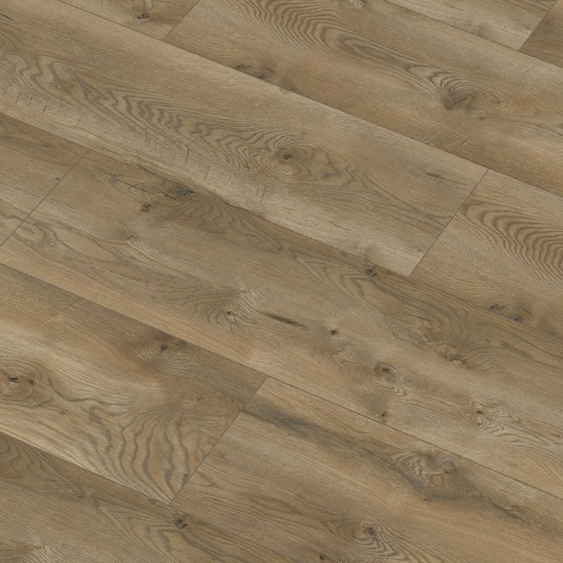 Laminatgulv Vandtæt Eg Albiano AC5 2,518 m²