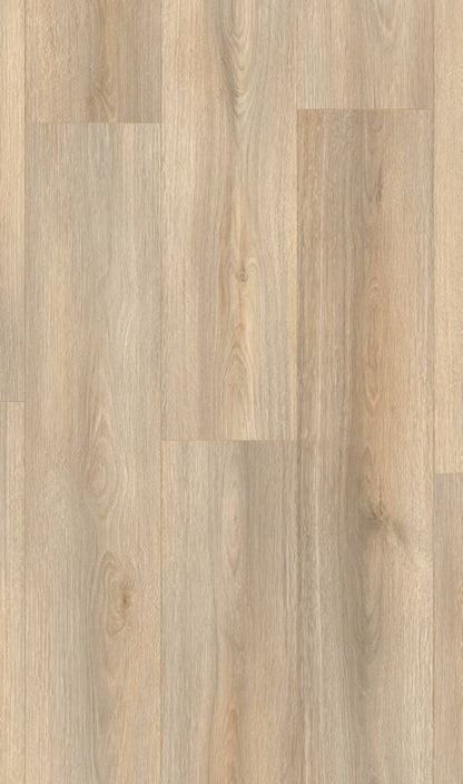 Laminatgulv Dąb Lausanne XL 284 mm Brun 2,19 m²