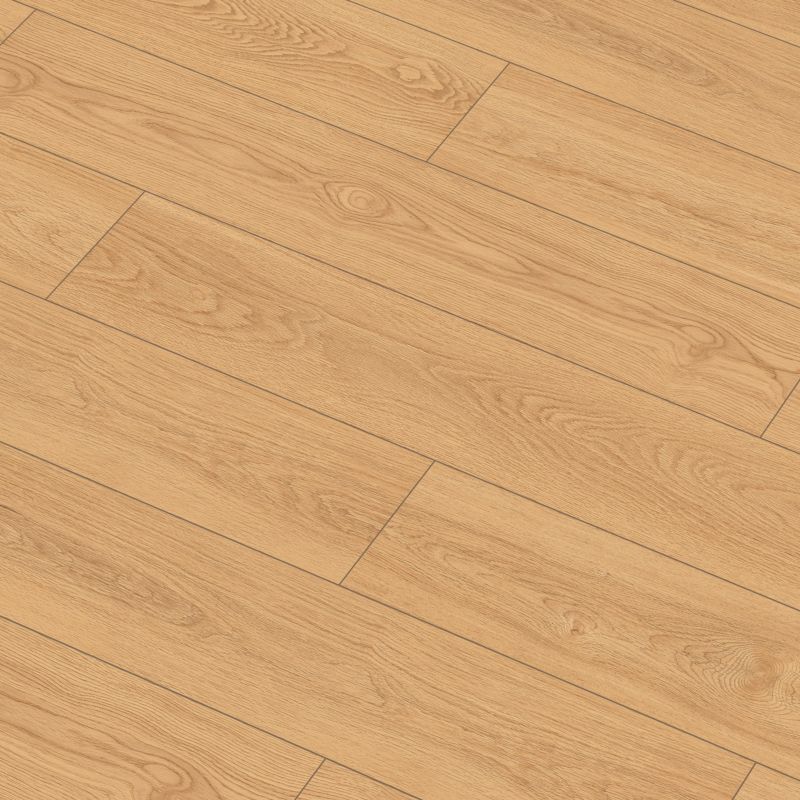 Vinylgulv SPC Eg Calma 2,61 m²
