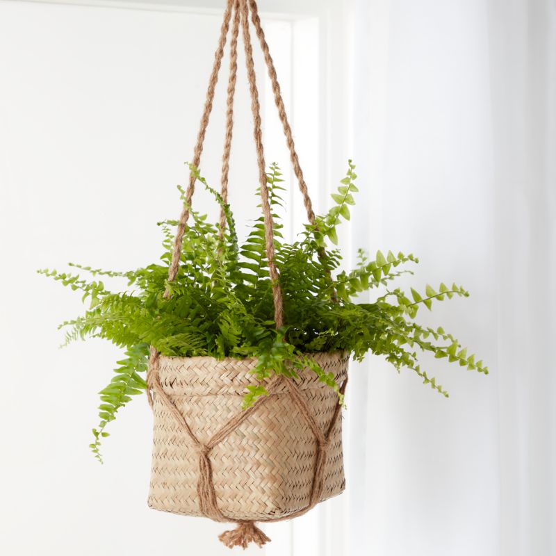 GoodHome bregne 12 cm
