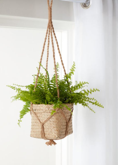 GoodHome bregne 12 cm