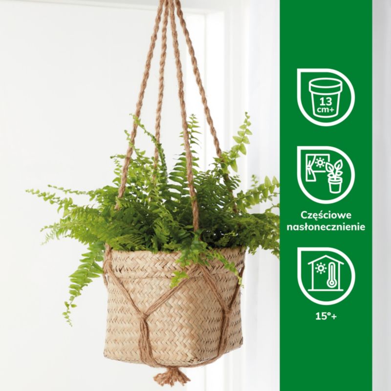 GoodHome bregne 12 cm