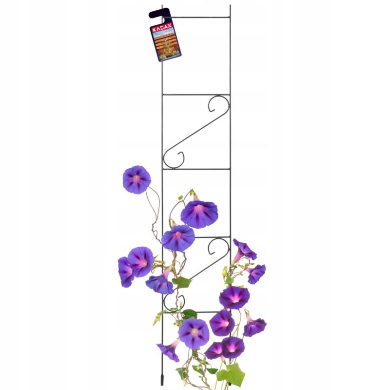 KADAX pergola have-stige have-støtte til blomster roser slyngplanter 150 cm 1 stk.