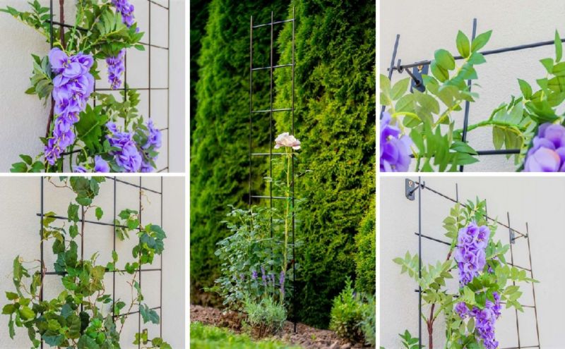 KADAX pergola havegitter til klatreplanter 35 x 120 cm, 1 stk.