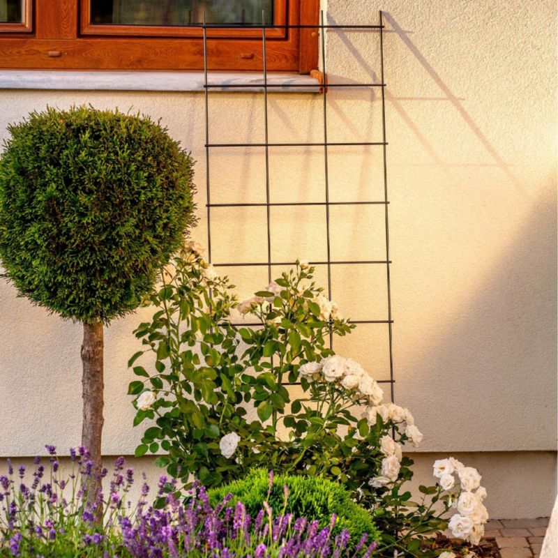 KADAX udendørs metalpergola til planteunderstøttelse – klatreplanter og blomster, gitter 45x150 cm, 1 stk.