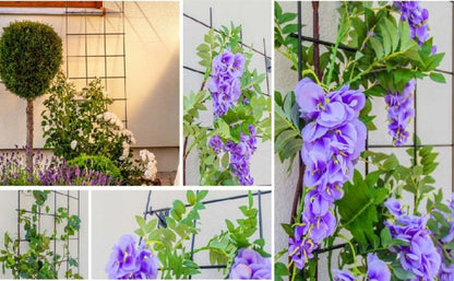 KADAX udendørs metalpergola til planteunderstøttelse – klatreplanter og blomster, gitter 45x150 cm, 1 stk.
