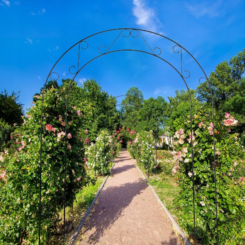 KADAX udendørs metalpergola bue til klatreplanter roser 240 cm støtte 1 stk.