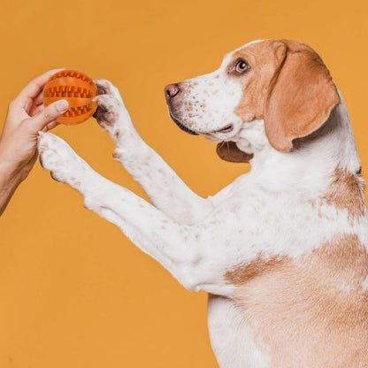 Springos tyggeben og tyggelegetøj til hunde, orange, 1 stk.