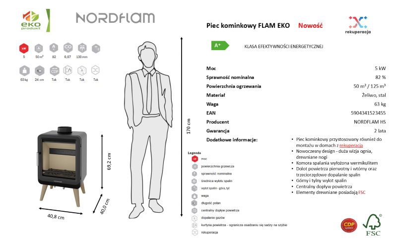 Brændeovn Flam 5 kW Sort