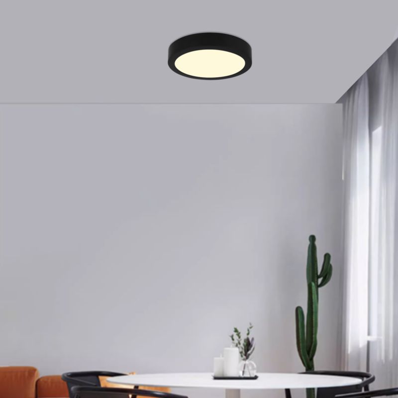 Loftlampe Boxelder LED 2000 lm 3000 K 28 cm Sort