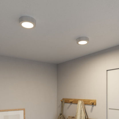 LED-loftlampe Aius 600 lm 4000 K 11 cm Sølv