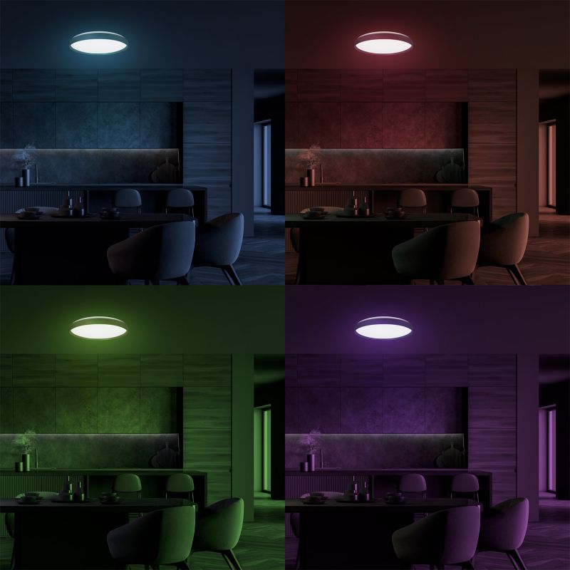 LED-loftlampe Ringo 36 W Sort 5902693799658
