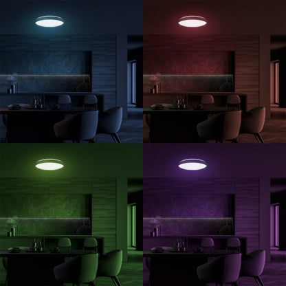 Loftlampe LED Ringo 36 W Sort