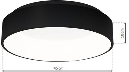 Loftslampe LED Ohio 24 W Sort