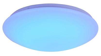 LED Loftslampe Cari 29 cm RGB Hvid 16 W