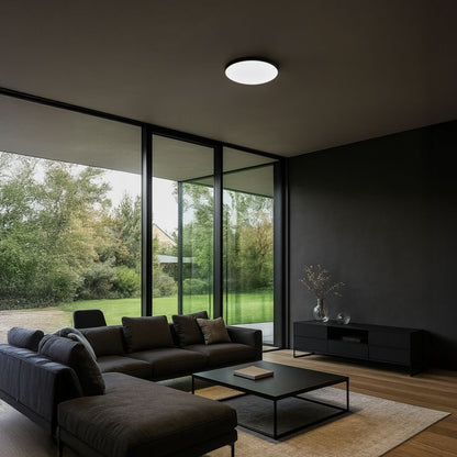 Loftslampe Milagro Slimi 18 W 4000 K Sort