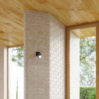 Plafond Sollux Lighting OCULARE 6L mat-sort 1 stk.