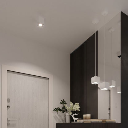 Plafond Sollux Lighting QUAD 2 hvid 1 stk.