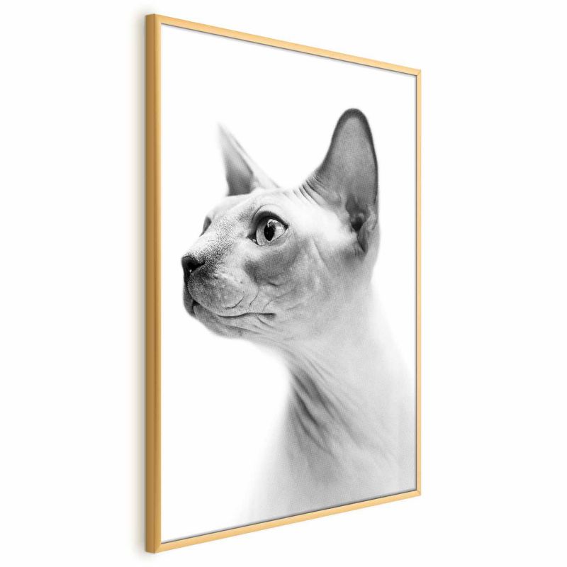 Artgeist plakat uden pels, 29,7 x 42 cm med guldramme, 1 stk