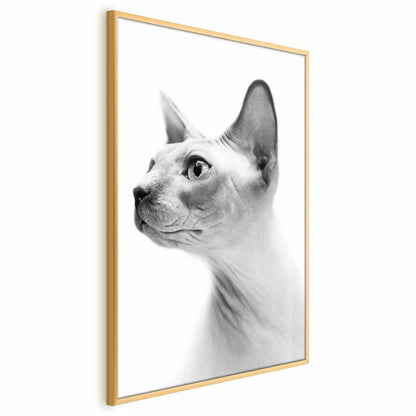 Artgeist plakat uden pels, 29,7 x 42 cm med guldramme, 1 stk