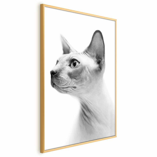 Artgeist plakat uden pels, 29,7 x 42 cm med guldramme, 1 stk