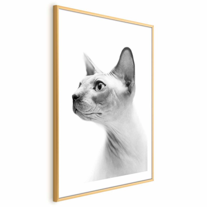 Artgeist plakat uden hår, 29,7 x 42 cm med guldramme, 1 stk