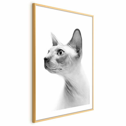 Artgeist plakat uden hår, 29,7 x 42 cm med guldramme, 1 stk