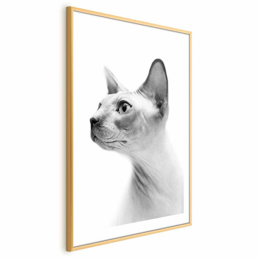 Artgeist plakat uden hår, 29,7 x 42 cm med guldramme, 1 stk