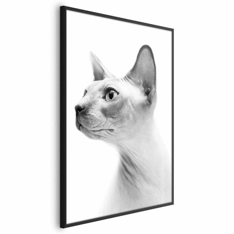 Artgeist plakat uden pels, 40 x 60 cm med sort ramme, 1 stk