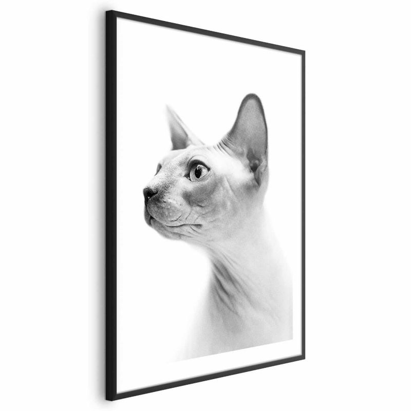 Artgeist plakat uden hår, 60 x 90 cm med sort ramme, 1 stk