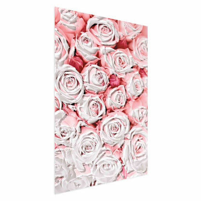 Artgeist plakat hvide roser 40x60 cm uden ramme, 1 stk