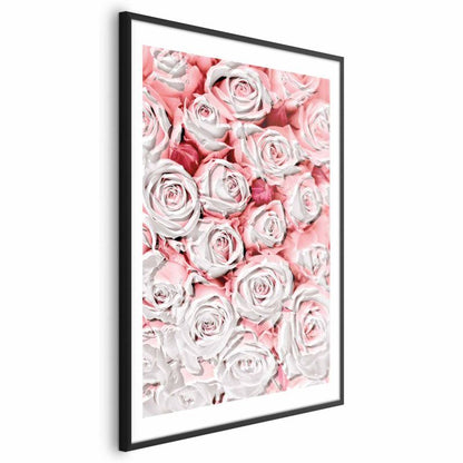 Artgeist plakat hvide roser 60x90 cm med sort ramme, 1 stk
