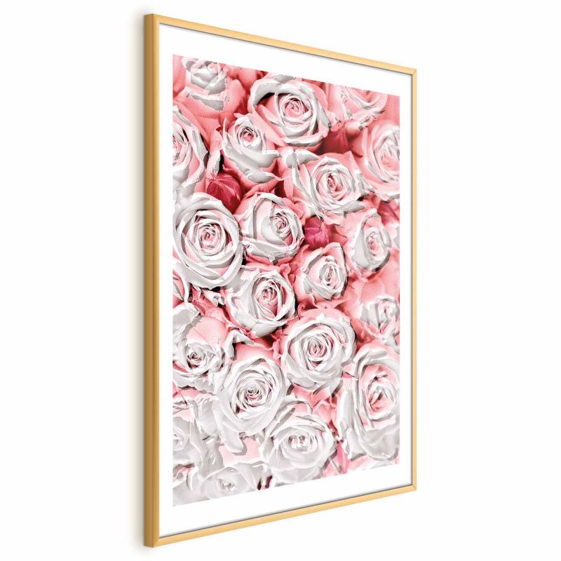 Artgeist plakat hvide roser 60x90 cm med guldramme 1 stk
