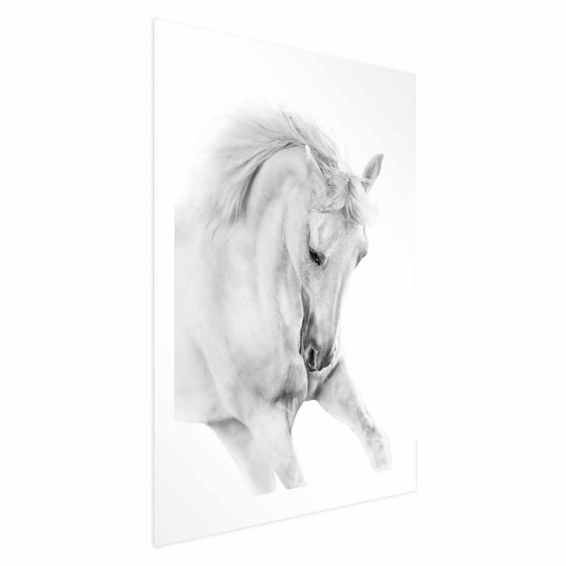 Artgeist plakat Hvid hest 21x30 cm uden ramme 1 stk