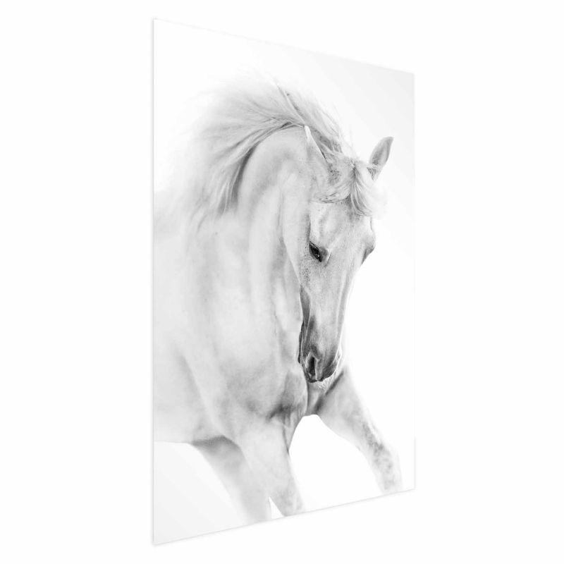Artgeist plakat Hvid hest 21x30 cm uden ramme 1 stk