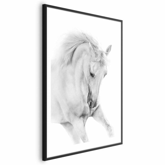 Artgeist plakat Hvid hest 60x90 cm med sort ramme, 1 stk