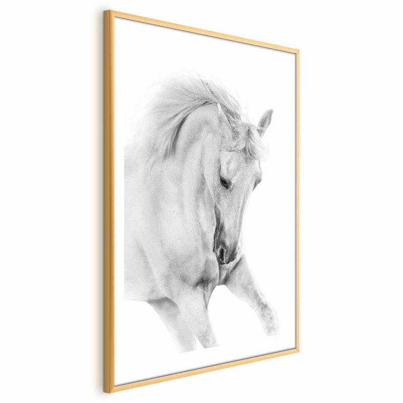 Artgeist plakat Hvid hest 60 x 90 cm med guldramme, 1 stk
