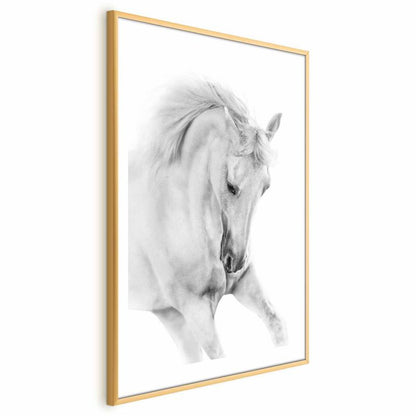 Artgeist plakat Hvid hest 60 x 90 cm med guldramme, 1 stk